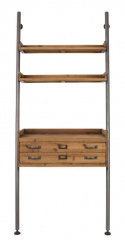 Hylla \'Rook\'