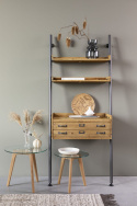 Hylla \'Rook\'