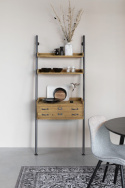 Hylla \'Rook\'