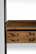 Hylla \'Rook\'