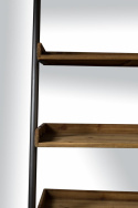 Hylla \'Rook\'