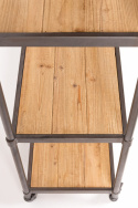 Hylla \'Simon\'  - Natur