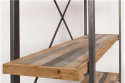 Hylla \'Joy\' - Natur