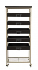 Hylla \'Botan S\'