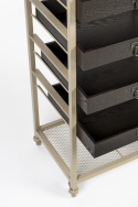 Hylla \'Botan S\'
