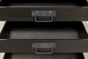 Hylla \'Botan S\'
