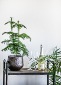 Rullbord \'Chelsea\' - Vintage Grå