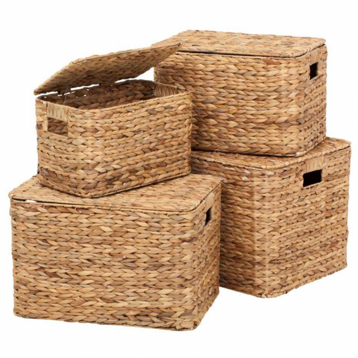 Korg 'Fiskben' 2 set - Natur