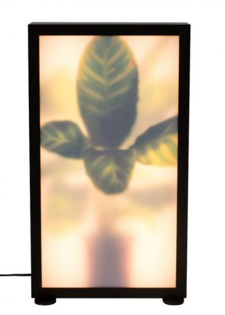 Golvlampa \'Grow\' M i gruppen BELYSNING / Golvlampor hos Reforma (5100090)