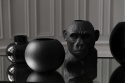 Vas \'Gorilla\'