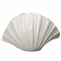 Vas \'Shell\' - Vit