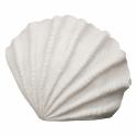 Lampa \'Oceana\'