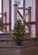 Julgran \'Byske Belysning\' - Grön
