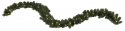 Girlang \'Ottawa\' - Grön