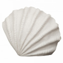 Lampa \'Oceana\'