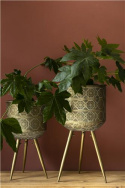 Kruka \'Botanique\' L - Mässing