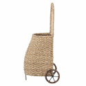 Korgvagn \'Trolley\' - Rotting/Natur