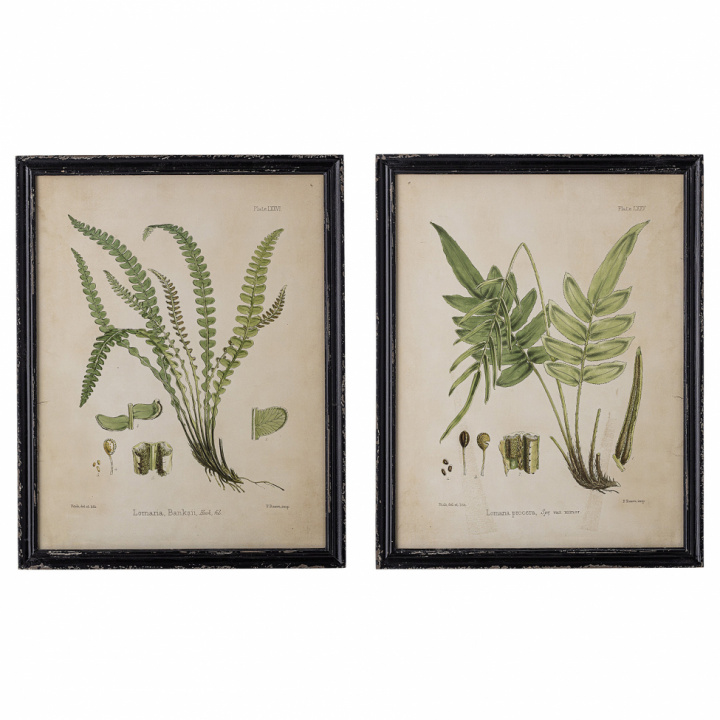 2-Pack Poster - Natur