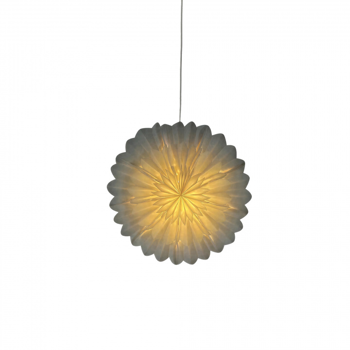 Adventsstjärna 'Lotus' 60cm - Vit