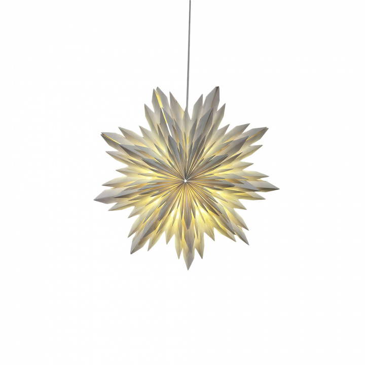 Adventsstjärna 'Oslo' 45cm - Vit