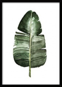 Canvas Poster S - Tropisk växt 4