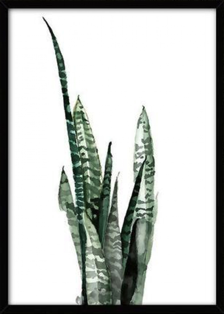 Canvas Poster S - Tropisk växt 8 i gruppen KAMPANJ / Inredning / Dekoration hos Reforma (LS71237-08-H-3040)