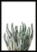 Canvas Poster L - Tropisk växt 9