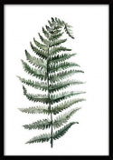 Canvas Poster L - Tropisk växt 10