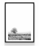 Poster - Landskap