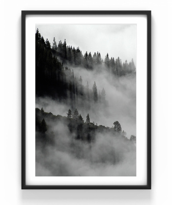 Poster - Landskap i dimma 50 x 70 cm