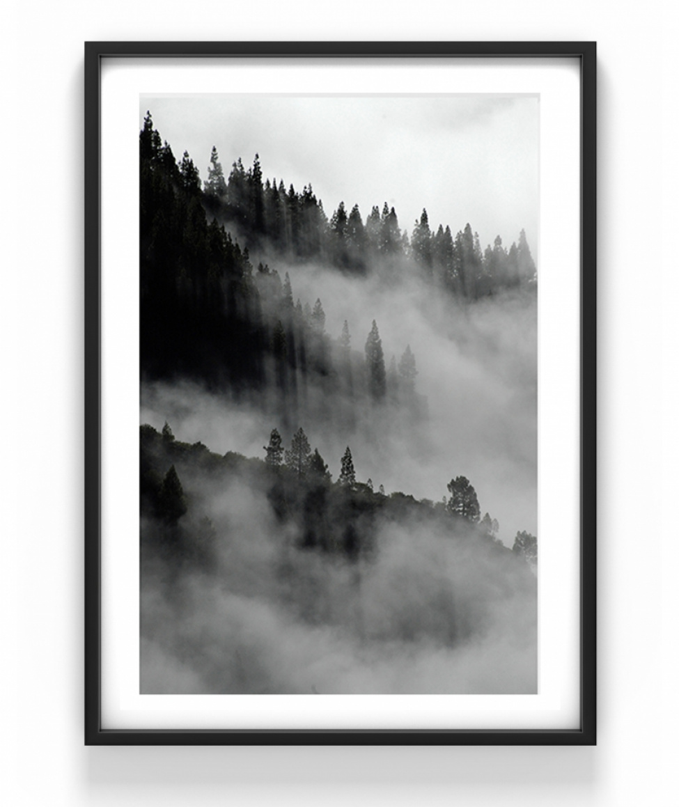Poster - Landskap i dimma