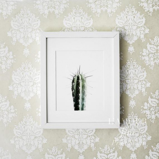 Poster - Kaktus