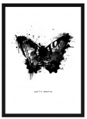Poster - Fjäril grafisk