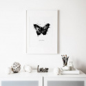 Poster - Fjäril grafisk
