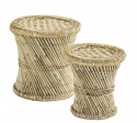 Pallar \'Pampas\' - Natur