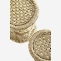 Pallar \'Pampas\' - Natur