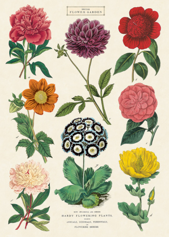 Poster - Blomster