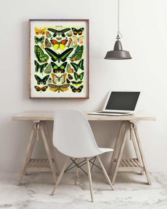 Poster - Fjrilar