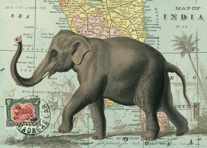 Poster - Vintage Elefant