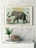 Poster - Vintage Elefant