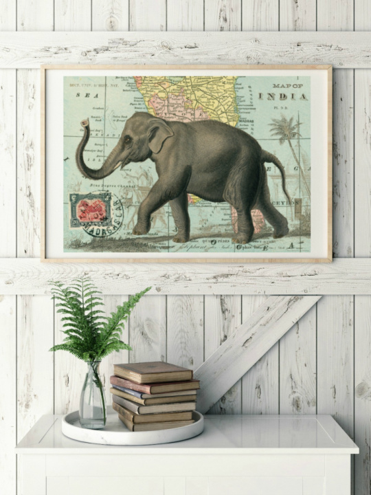 Poster - Vintage Elefant