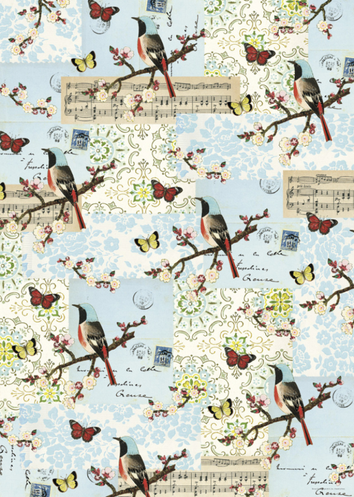 Poster - Fåglar & Fauna