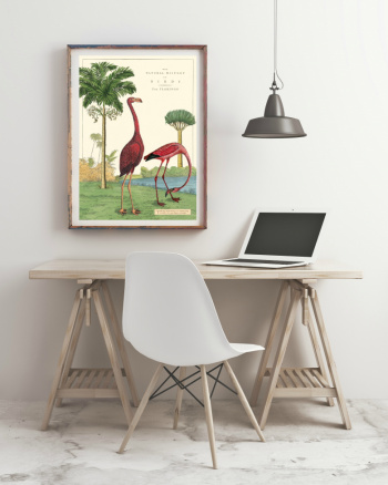 Poster - Vintage Flamingo