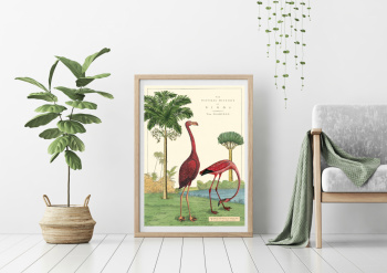 Poster - Vintage Flamingo