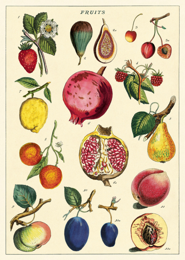 Poster - Frukt
