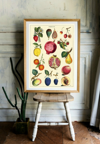 Poster - Frukt