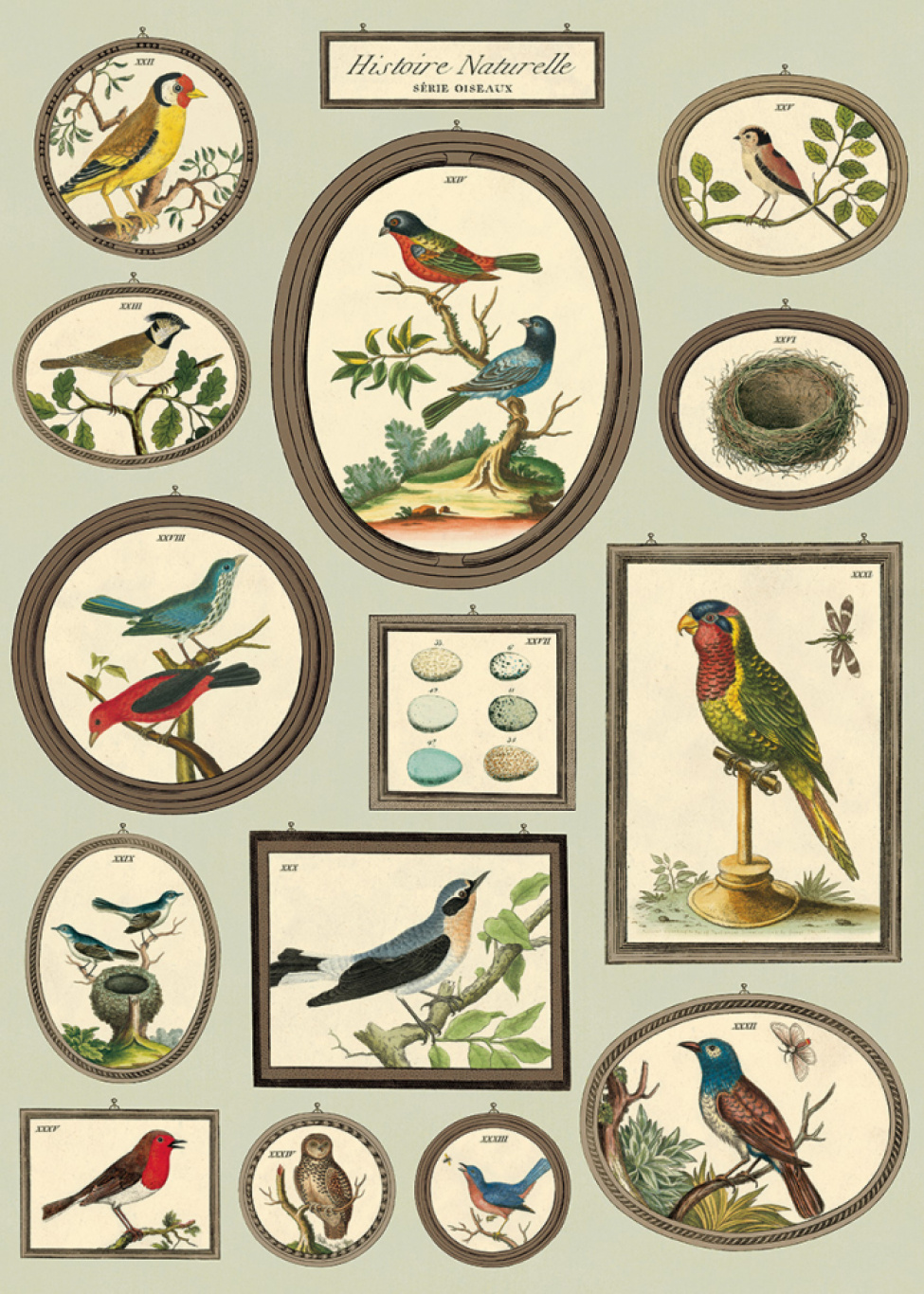 Poster - Vintage fåglar