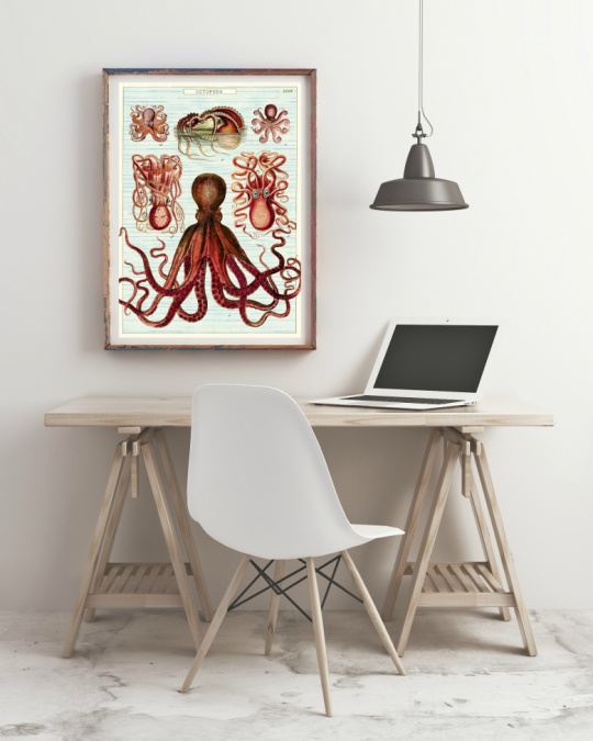 Poster - Blckfisk