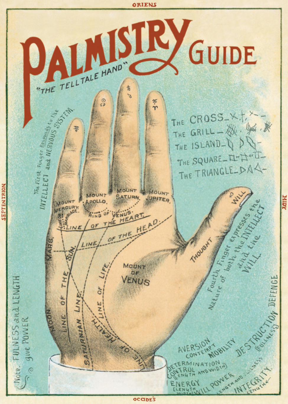Poster - Palmistry
