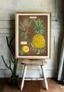 Poster - Ananas